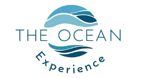 The Ocean Experience